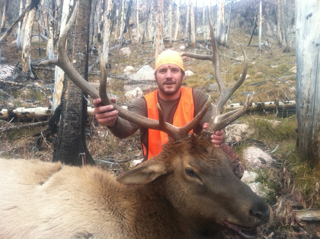 north-park-colorado-elk 