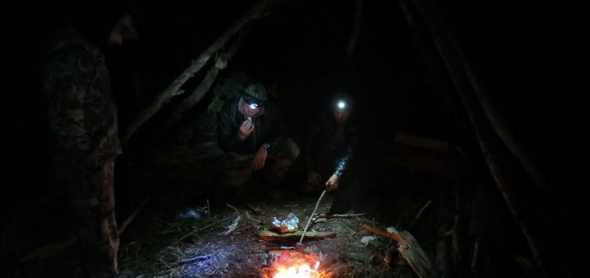 campfire-tendreloins