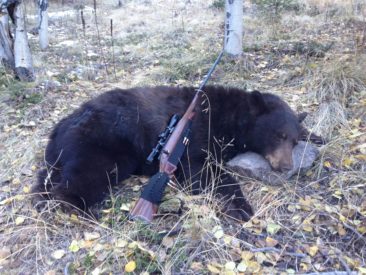 dead-bear-with-rifle