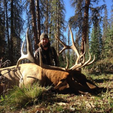 successful-hunter-posing-with-large-bull-elk