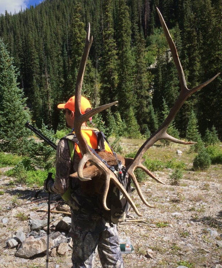 The Avalanche Bull: 2019 Colorado Muzzleloader Elk Season – By Mike ...